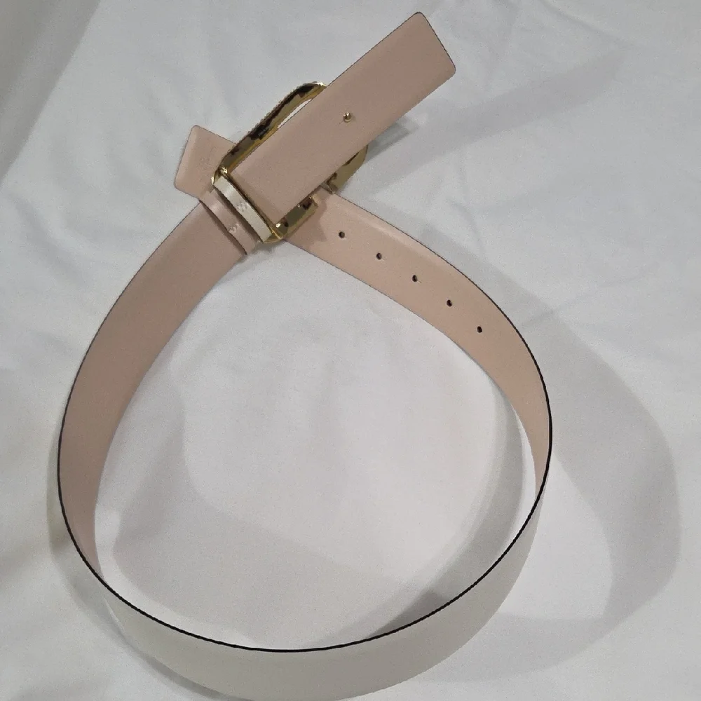 Valentino Garavani Cream Belt with Gold Sparkle Buckle - Picture 8 of 15
